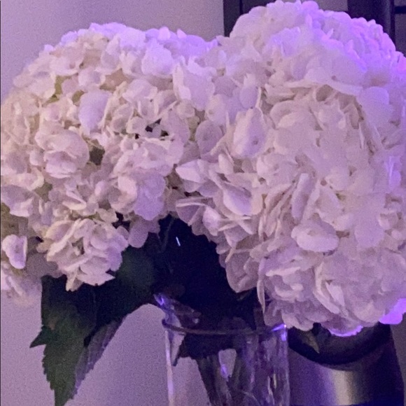 Meet your Posher, Noah - Picture 1 of 1